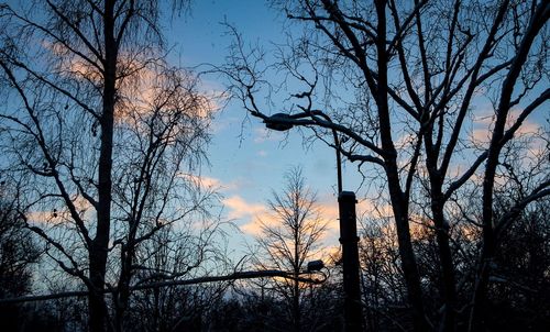 Low angle view of silhouette bare trees against sky at sunset