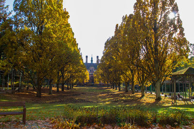 Footpath in park