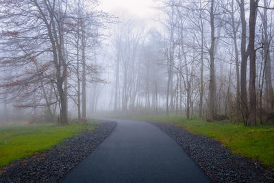 Road amidst bare trees during foggy weather