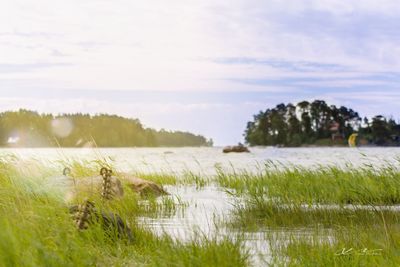 Scenic view of river against sky