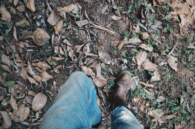 Low section of man standing on field