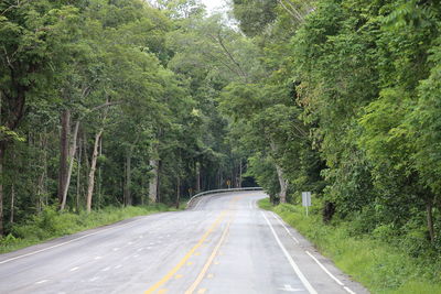 Road amidst trees in forest