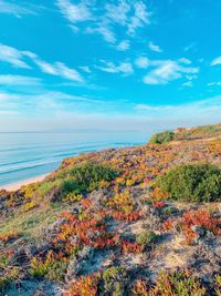 Scenic view of sea against sky