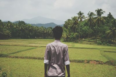 Rear view of man standing on tree against sky