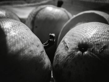 Close-up of food on table