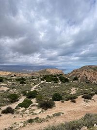 Scenic view of landscape against sky