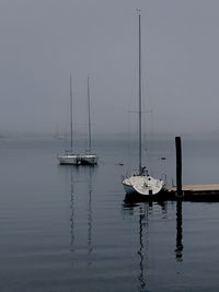 Sailboats sailing on sea against sky