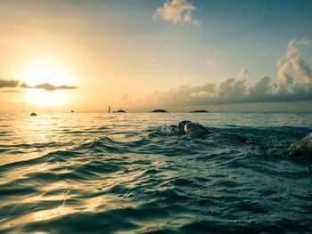 Person swimming in sea during sunset