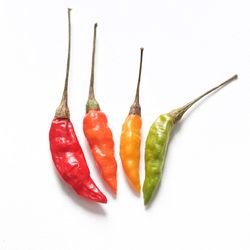 Close-up of chili peppers against white background