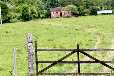 Wooden fence on field by trees and plants