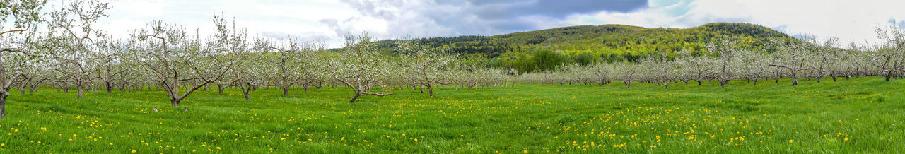 Panoramic view of landscape against sky