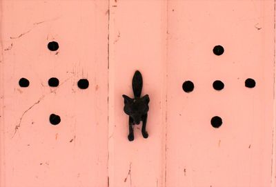 Full frame shot of cat with closed door