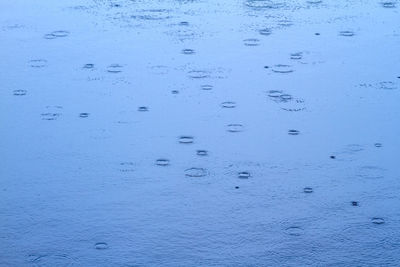 Full frame shot of wet window