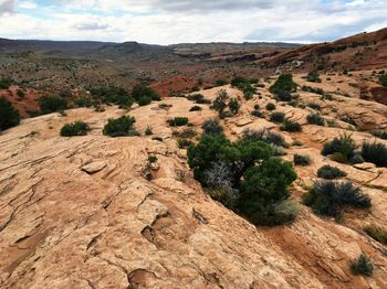 Scenic view of landscape against cloudy sky