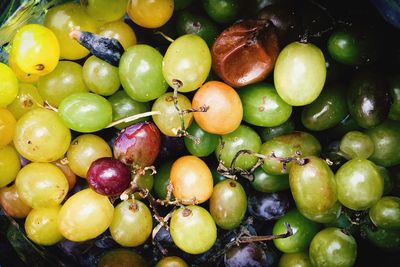 High angle view of grapes