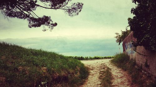 Dirt road passing through landscape