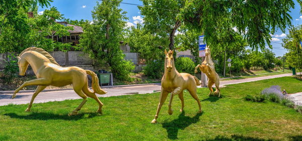 Golden horse statues in the dubai park of dobroslav, odessa region, ukraine
