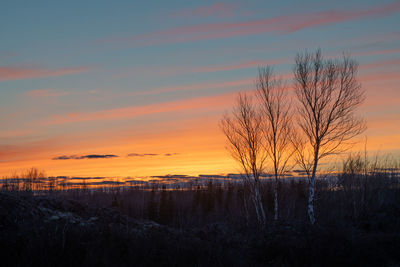 Silhouette bare trees on landscape against sky during sunset