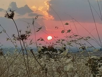 Scenic view of sky during sunset