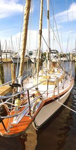 Boats in harbor