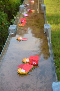 High angle view of rose floating on water