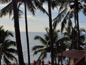 Palm trees by swimming pool against sky