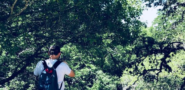 Rear view of man walking by tree in forest
