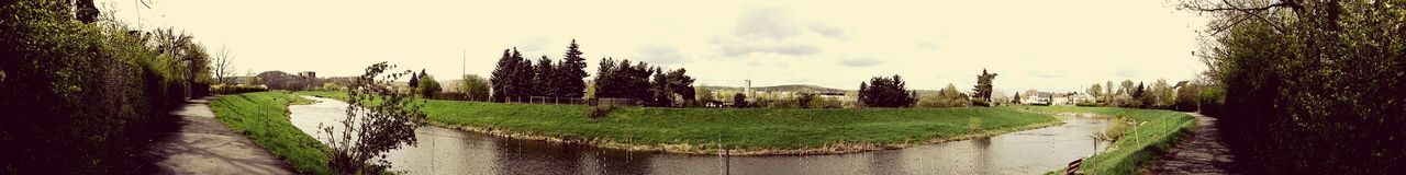 Panoramic view of trees against sky