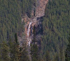 High angle view of waterfall in forest