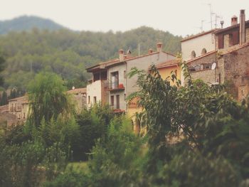 View of house and trees