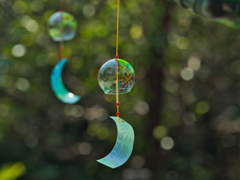 Close-up of bubbles against blurred background