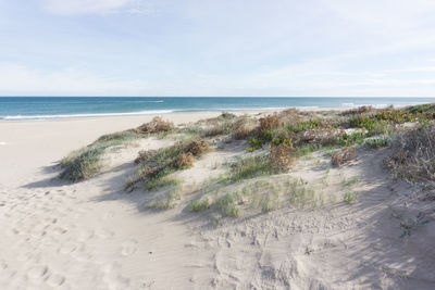 Scenic view of beach against sky