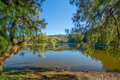 Scenic view of lake against clear blue sky