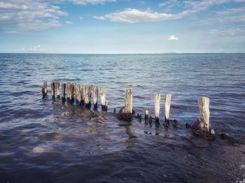 Wooden posts in sea against sky