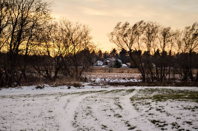 Bare trees on landscape against sky during winter