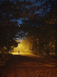 Silhouette person walking on road amidst trees against sky