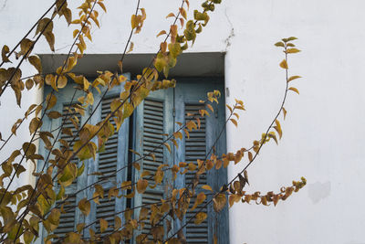 Low angle view of building against wall