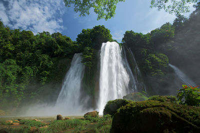 Scenic view of waterfall in forest