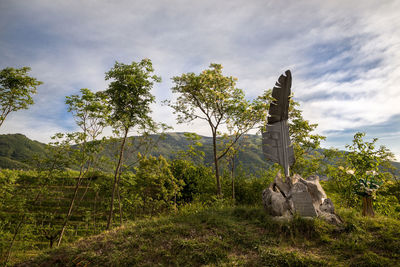 View of trees on field against sky