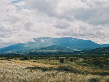 Scenic view of landscape against sky