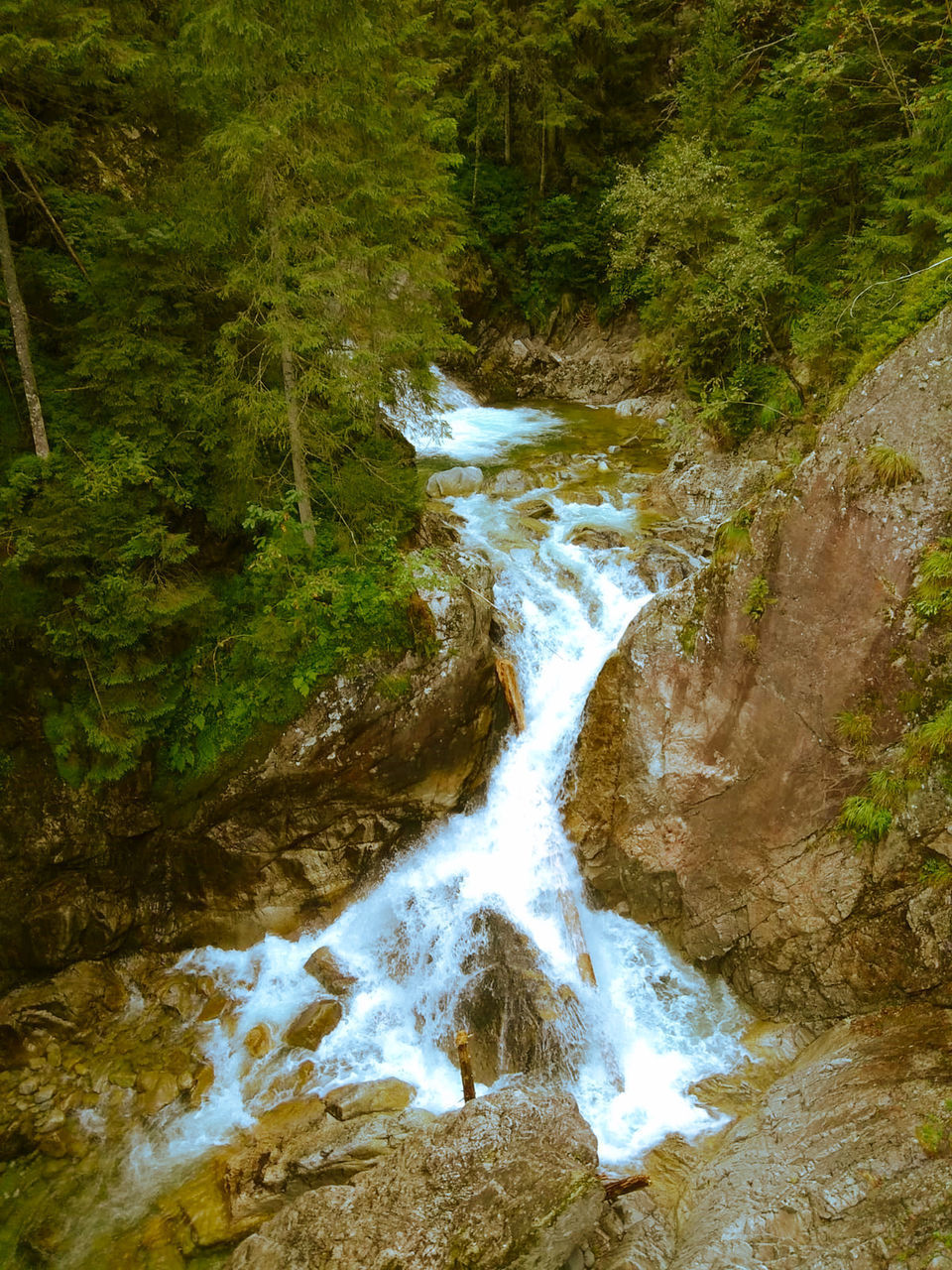 SCENIC VIEW OF WATERFALL IN FOREST