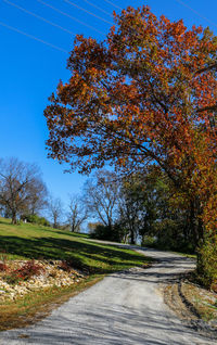 Road amidst trees against sky during autumn