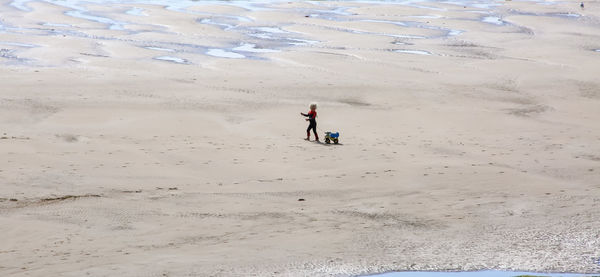 High angle view of man on beach