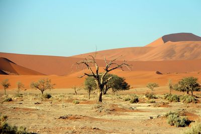 Scenic view of desert against clear sky