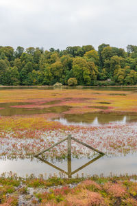 Scenic view of field against sky during autumn