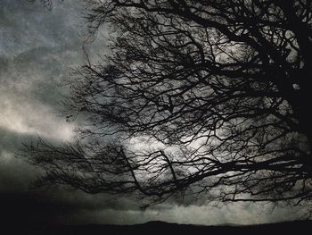 Low angle view of silhouette tree against sky