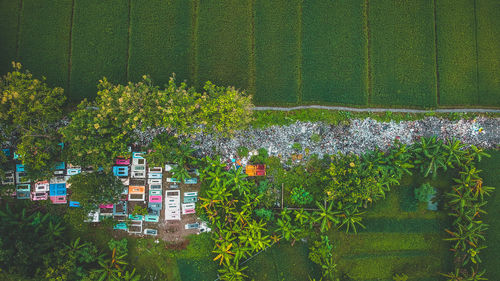 Directly above shot of grassy landscape