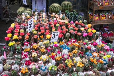 Various flowers for sale at market stall
