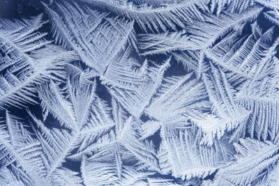 Frost patterns on the window.