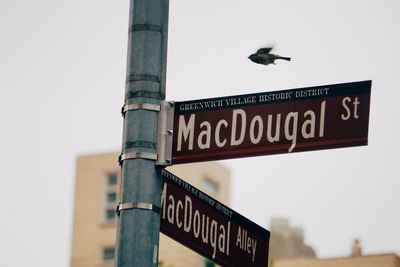 Low angle view of bird flying over road sign against sky
